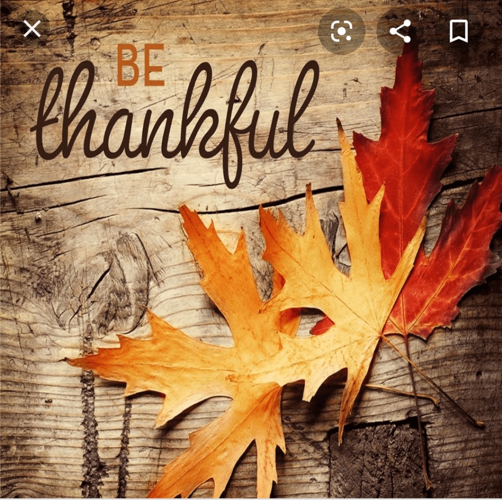 Happy Thanksgiving